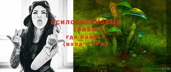 трава Арсеньев