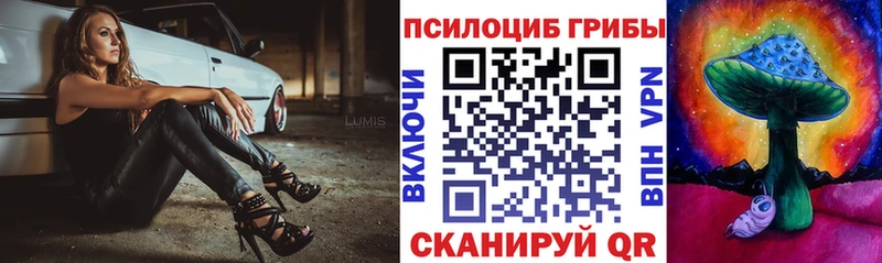 Псилоцибиновые грибы Magic Shrooms  что такое   Сурск 